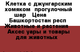 Клетка с джунгарским хомяком, прогулочный шар › Цена ­ 600 - Башкортостан респ. Животные и растения » Аксесcуары и товары для животных   